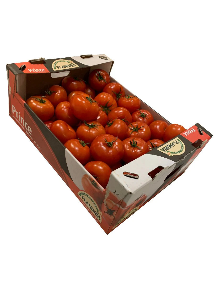 TOMATO  - Wholesale