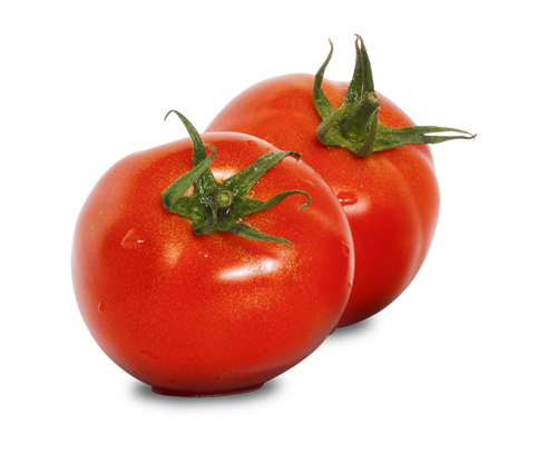 TOMATO