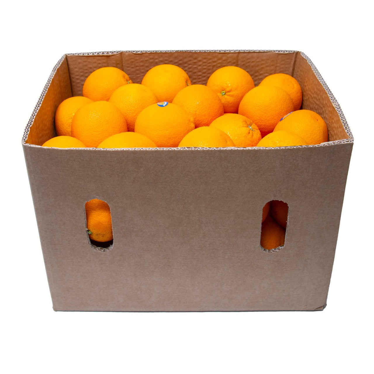 ORANGE EGYPT VALANCIA 80 (ELEGEBALY)